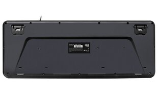 Adesso AKB-132HB цена и информация | Клавиатура с игровой мышью 3GO COMBODRILEW2 USB ES | kaup24.ee