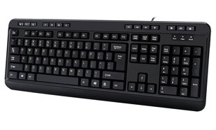 Adesso AKB-132HB цена и информация | Клавиатура с игровой мышью 3GO COMBODRILEW2 USB ES | kaup24.ee