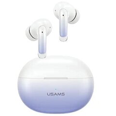 USAMS Słuchawki Bluetooth 5.3 TWS X-don series ENC bezprzewodowe niebieski gradient|gradient blue BHUENCXD03 (US-XD19) цена и информация | Наушники | kaup24.ee