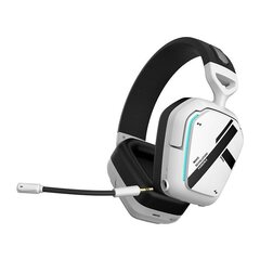 Thunderobot Shadow Wing wireless headset HL504 (white) цена и информация | Наушники | kaup24.ee