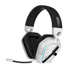 Thunderobot Shadow Wing wireless headset HL504 (white) цена и информация | Наушники | kaup24.ee