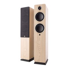 Argon Fenris Active 55 Ash hind ja info | Koduaudio ja "Soundbar" süsteemid | kaup24.ee