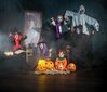 Halloweeni kõrvitsa nikerduskomplekt, 8 tk hind ja info | Peokaunistused | kaup24.ee