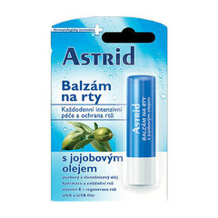 Бальзам для губ Astrid Lip balm с маслом жожоба, 4.8 г цена и информация | Помады, бальзамы, блеск для губ | kaup24.ee