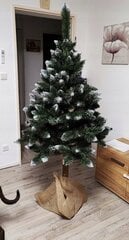 Kunstjõulupuu Teemantpuu tüvel Kadax K5540, 180 cm hind ja info | Kunstkuused | kaup24.ee