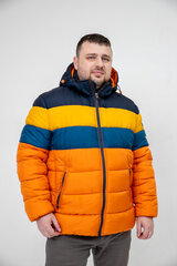Куртка мужская, разноцветная цена и информация | Мужские куртки | kaup24.ee