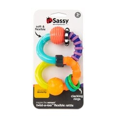 Närimismänguasi Sassy Madu hind ja info | Imikute mänguasjad | kaup24.ee