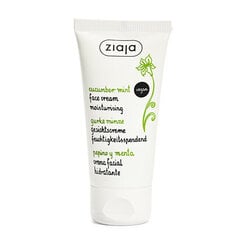 Увлажняющий крем для лица Ziaja Cucumber and Mint SPF6, 50 мл цена и информация | Кремы для лица | kaup24.ee