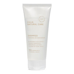 Šampoon Ziaja Natural Care, 200 ml hind ja info | Šampoonid | kaup24.ee