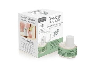 Õhuniisutaja lõhnatäidis Yankee Candle Serene Air Refil Restorative Hinoki and Juniper, 17 ml цена и информация | Ароматы для дома | kaup24.ee