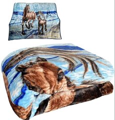 Одеяло, 160x210 см цена и информация | Одеяла | kaup24.ee