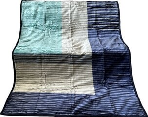 Одеяло, 160x210 см цена и информация | Одеяла | kaup24.ee