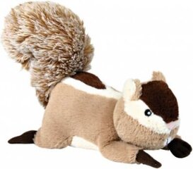 Plüüsist orav Trixie, 24 cm hind ja info | Mänguasjad koertele | kaup24.ee