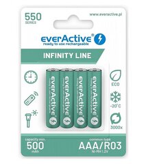 everActive EVHRL03-550 цена и информация | Аккумуляторы, батарейки | kaup24.ee