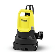 Дренажный насос Karcher SP 16.000, 550 Вт цена и информация | Насосы для чистой воды | kaup24.ee