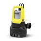 Veepump Karcher Sp 22.000, 750W цена и информация | Puhta vee pumbad | kaup24.ee