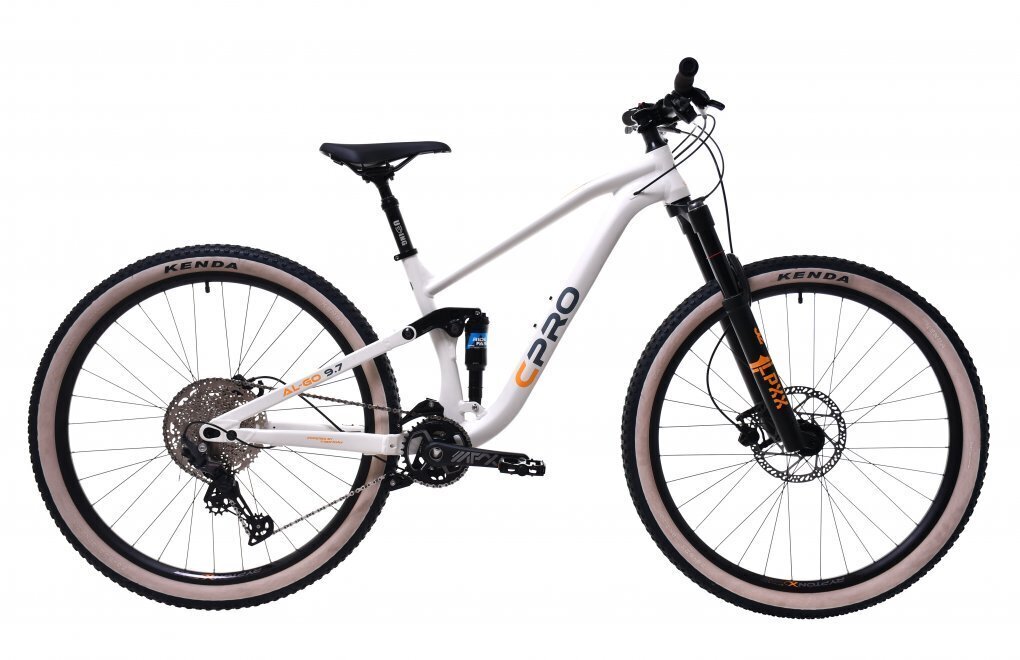 Maastikuratas Cpro MTB C-Pro All-Go, 29", hall hind ja info | Jalgrattad | kaup24.ee