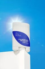 Защита от солнца с гиалуроновой кислотой Isntree, 50 UV, 22 г цена и информация | Кремы для лица | kaup24.ee
