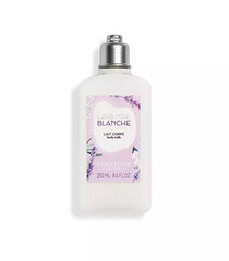 Ihupiim L'Occitane En Provence Lavender Blanche, 250 ml hind ja info | Kehakreemid, losjoonid | kaup24.ee