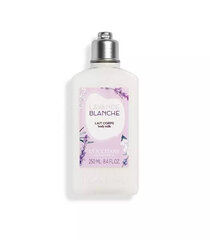 Ihupiim L'Occitane En Provence Lavender Blanche, 250 ml hind ja info | Kehakreemid, kehaspreid | kaup24.ee