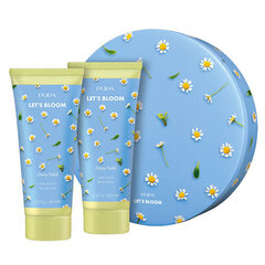 Komplekt Pupa Let's Bloom Daisy Field: puhastuspiim, 200 ml + kehakreem, 200 ml hind ja info | Dušigeelid, õlid | kaup24.ee