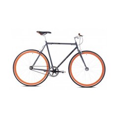 Maanteratas Fastboy 700/1 hall цена и информация | Велосипеды | kaup24.ee