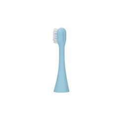 Infly T04B/T04X Синий | Головка зубной щетки | 3 упаковки цена и информация | Насадки для электрических зубных щеток | kaup24.ee