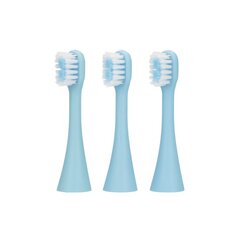 Infly T04B/T04X Синий | Головка зубной щетки | 3 упаковки цена и информация | Насадки для электрических зубных щеток | kaup24.ee