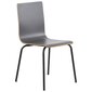 Lamineeritud vineerist tool Stema Werdi B, halli värvi, must raam hind ja info | Söögitoolid, baaritoolid | kaup24.ee