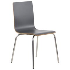Lamineeritud vineerist tool Stema Werdi B, halli värvi, roostevabast terasest raam hind ja info | Söögilaua toolid, köögitoolid | kaup24.ee