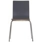Lamineeritud vineerist tool Stema Werdi B, halli värvi, roostevabast terasest raam hind ja info | Söögitoolid, baaritoolid | kaup24.ee