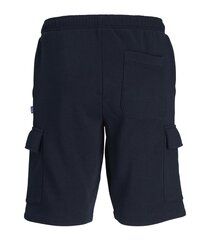 Jack & Jones lühikesed püksid poistele 12254213*01, sinine5715514934912 hind ja info | Poiste lühikesed püksid | kaup24.ee