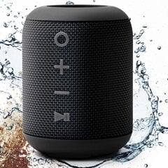 Dockin D Mini Bluetooth Speaker цена и информация | Аудиоколонки | kaup24.ee
