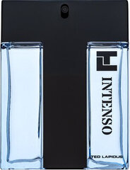 Parfüüm Ted Lapidus Intenso EDT M, 100 ml hind ja info | Meeste parfüümid | kaup24.ee