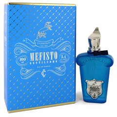 Parfüüm XerJoff Casamorati Mefisto Gentiluomo EDP, 100ml hind ja info | Meeste parfüümid | kaup24.ee