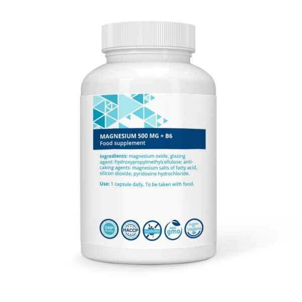 Toidulisand Stivits Magneesium 500mg + vitamiin B6, vegan kapslid, N90 hind ja info | Vitamiinid, toidulisandid, immuunsuse preparaadid | kaup24.ee