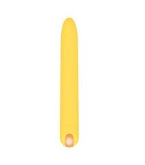 Vibraator Evolved Sunny Sensations Vibrator hind ja info | Vibraatorid | kaup24.ee