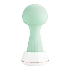 Массажер-вибратор Otouch Mushroom Silicone Wand Vibrator цена и информация | Вибраторы | kaup24.ee