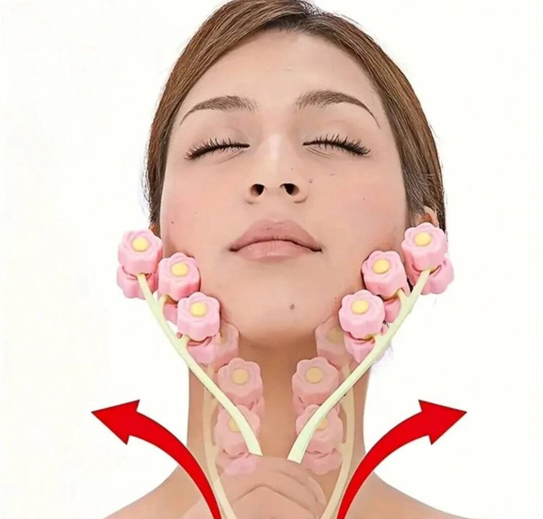 Rullmassaažiseade näole ja kaelale, Electronics LV-782, 1 tk hind ja info | Näopuhastus- ja massaažiseadmed | kaup24.ee