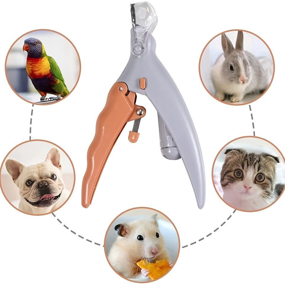 LED-küünisekäärid loomadele, kassidele ja koertele hind ja info | Hooldusvahendid loomadele | kaup24.ee