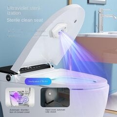 WC UV-sterilisaator hind ja info | Vannitoa sisustuselemendid ja aksessuaarid | kaup24.ee