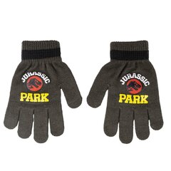 Kindad poistele Jurassic Park S0738096 цена и информация | Шапки, перчатки, шарфы для мальчиков | kaup24.ee