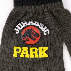 Kindad poistele Jurassic Park S0738096 цена и информация | Шапки, перчатки, шарфы для мальчиков | kaup24.ee