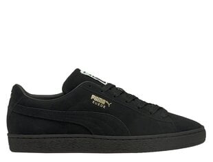 Puma Обувь Trinity Lite Black 389292 01 цена и информация | Кроссовки для мужчин | kaup24.ee