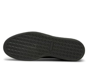Puma Обувь Trinity Lite Black 389292 01 цена и информация | Кроссовки для мужчин | kaup24.ee
