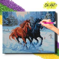 Алмазная Мозаика на Раме Лошади зимой 5D Diamond Painting Oh Art! 40x50 cm цена и информация | Алмазная мозаика | kaup24.ee