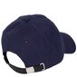 Tommy Jeans müts meestele 8719861987529 цена и информация | Meeste sallid, mütsid ja kindad | kaup24.ee