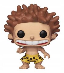 Фигурка Funko POP! The Wild Thornberrys Donnie 507 цена и информация | Развивающий мелкую моторику - кинетический песок KeyCraft NV215 (80 г) детям от 3+ лет, бежевый | kaup24.ee