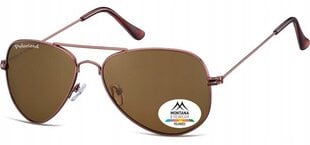 Мужские солнцезащитные очки UV Polarised Pilot Sunglasses Men's + Gratis MP94D цена и информация | Женские солнцезащитные очки | kaup24.ee