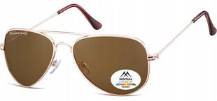 Мужские солнцезащитные очки UV Polarised Pilot Sunglasses Men's + Gratis MP94B цена и информация | Женские солнцезащитные очки | kaup24.ee